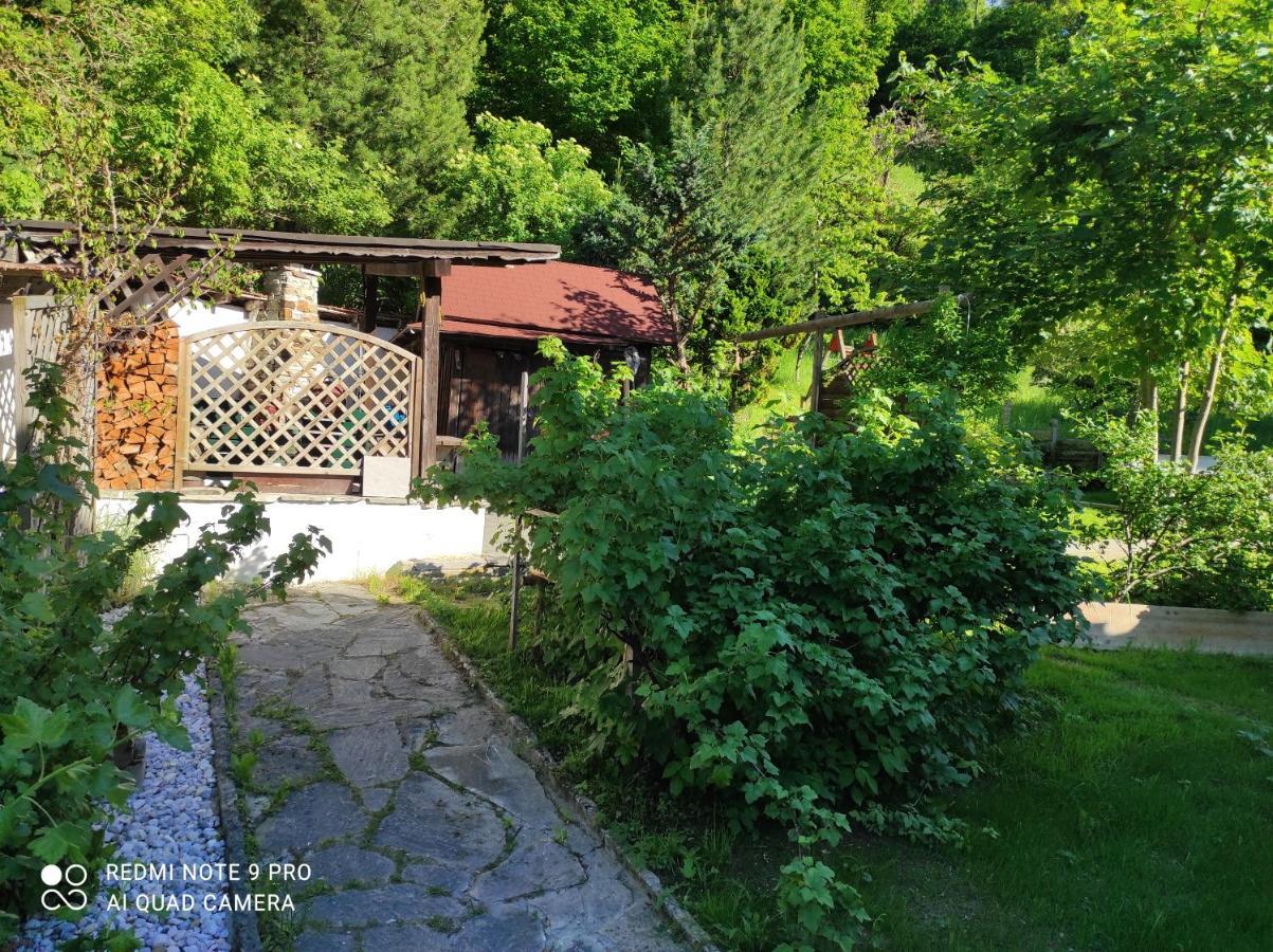 Ferienwohnung Ferienhaus Kraiter Schladming Exterior foto